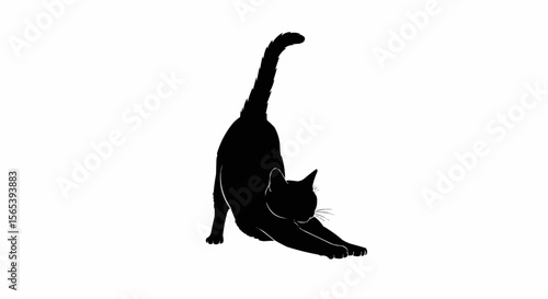 Cat Stretching Vector – Silhouette of Domestic Cat in Relaxed Pose for Pet, Animal Behavior, and Feline Art Concepts