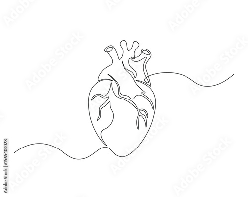 Heart, human organ outline illustration. Continuous line drawing of human heart. Health concept.