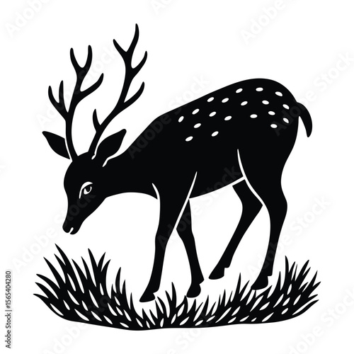 eating grass deer white background.