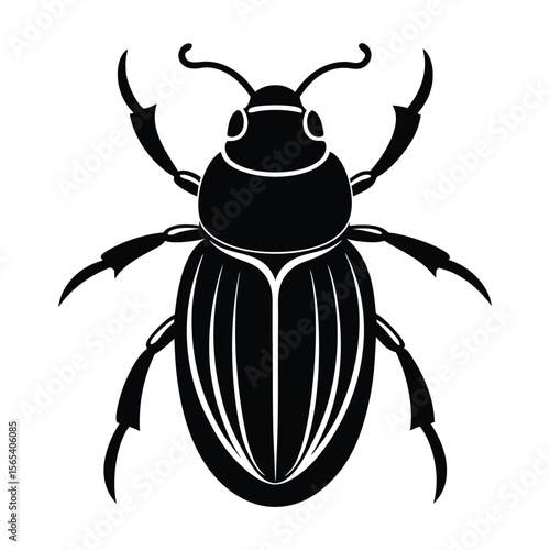 vector dung beetle on white background.