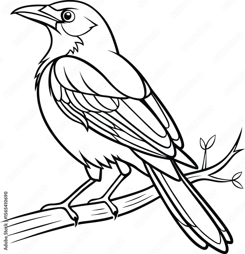 Fototapeta premium magpie bird vector for coloring page