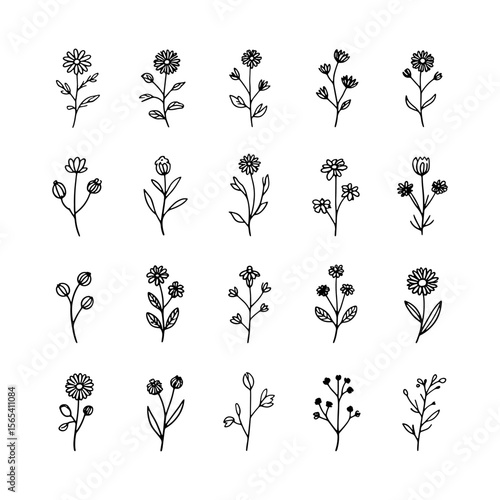 Offset Bloom Shape. A single flower with asymmetrical petal layout and delicate linear stem for unique minimal compositions.