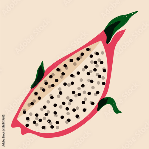 Dragon fruit slice. Exotic tropical pitaya fruit, fresh pink ripe pitahaya with green leaves and thorns, healthy organic food risograph style. Vector cartoon illustration