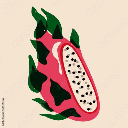 Half dragon fruit. Exotic pitaya fruit cut, fresh tropical pink pitahaya fruit with green scales, organic food for package design, fabric, textile, art prints. Vector risograph illustration