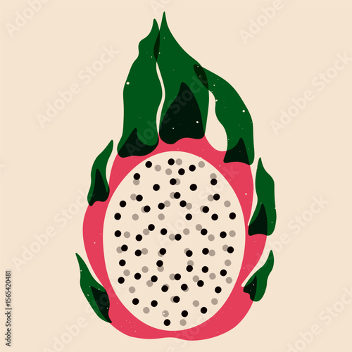 Dragon fruit. Exotic pitaya fruit cut in half, fresh tropical pink pitahaya fruit with green scales, organic food for package design, fabric, textile, art prints. Vector risograph illustration