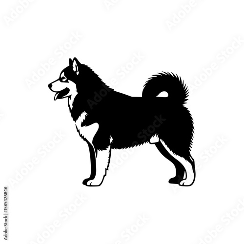 Black and White Silhouette of a Majestic Malamute Dog Standing Proudly