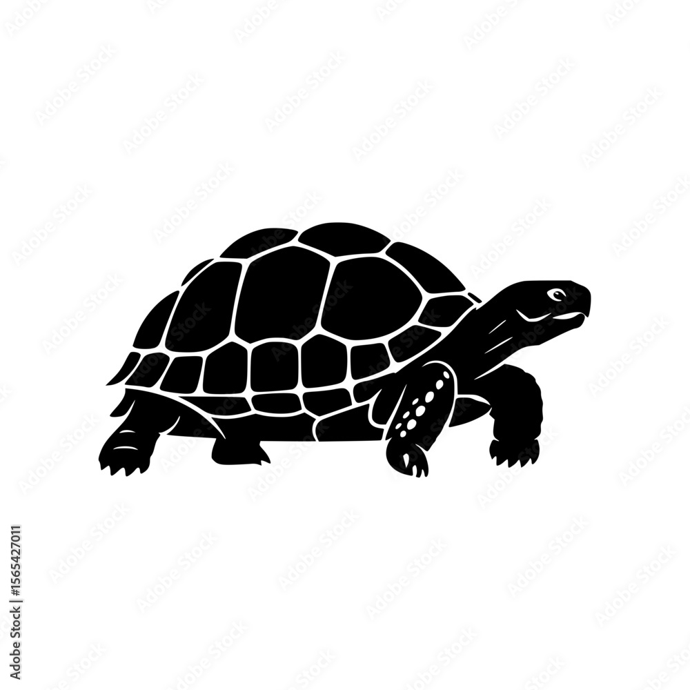 Fototapeta premium Stylized Silhouette of a Tortoise with Detailed Shell Pattern