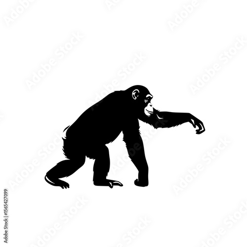 A black silhouette of a chimpanzee crouching on a white background