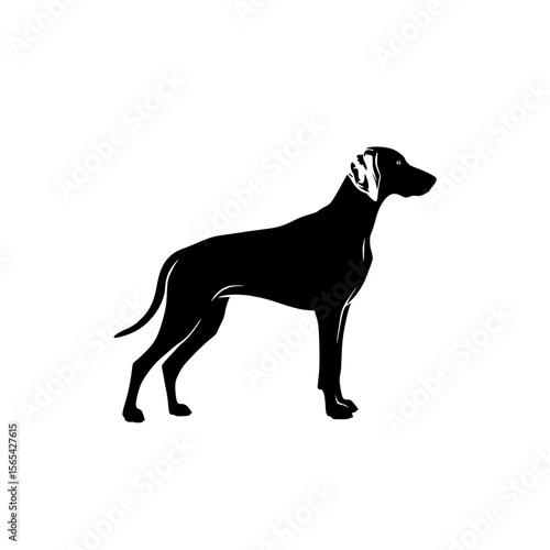 Elegant Pointer Dog Silhouette Standing Proudly Against a White Background
