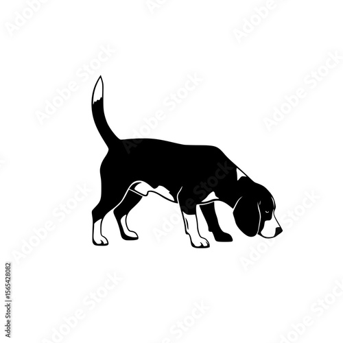 Black Silhouette of a Beagle Dog Sniffing the Ground with a Curled Tail