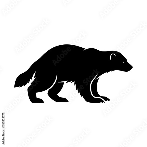 Silhouette of a powerful wolverine walking on a white background