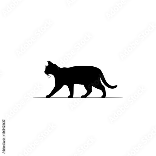 Elegant Black Cat Silhouette Walking Gracefully on a Thin Line