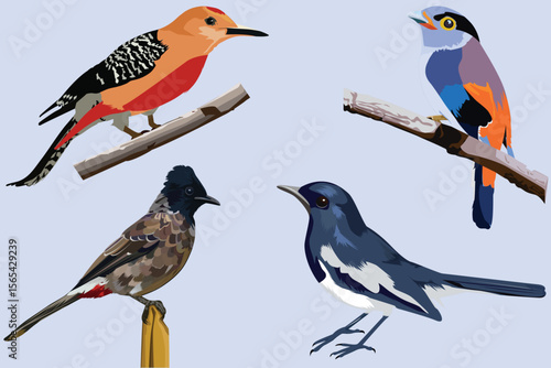 Diverse Collection of Colorful Asian Birds
