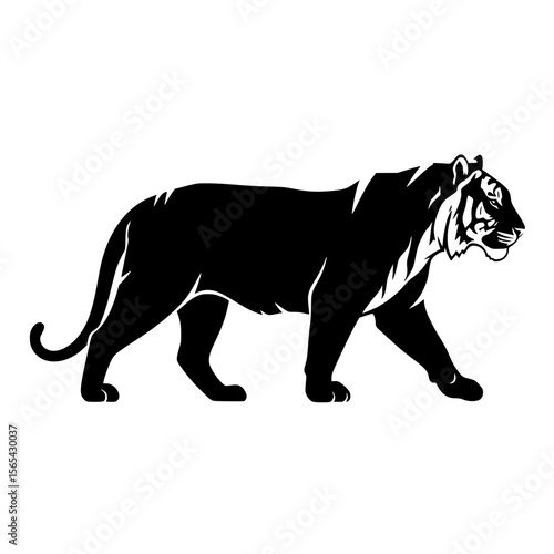 Majestic Tiger Silhouette Walking Gracefully Through a Field of Tall Grass