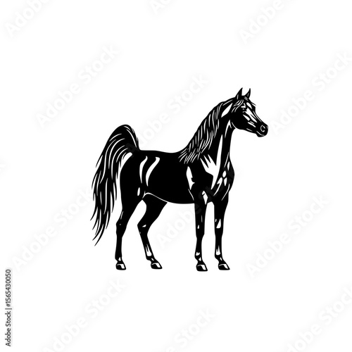 Elegant Black Arabian Horse Silhouette Standing Proudly Displaying its Fine Features