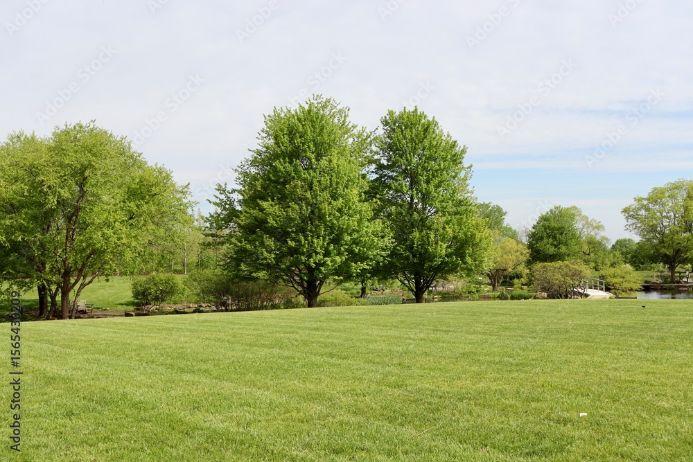 Fototapeta premium The countryside landscape on a sunny spring day.
