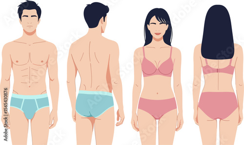 Male and female anatomy illustration front and back view body proportions
