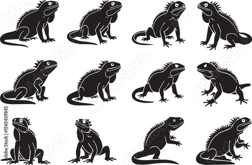 A set of different types of black Iguana Wild Animals silhouette icons on a white background. Each  has a unique position. The icons are illustrations