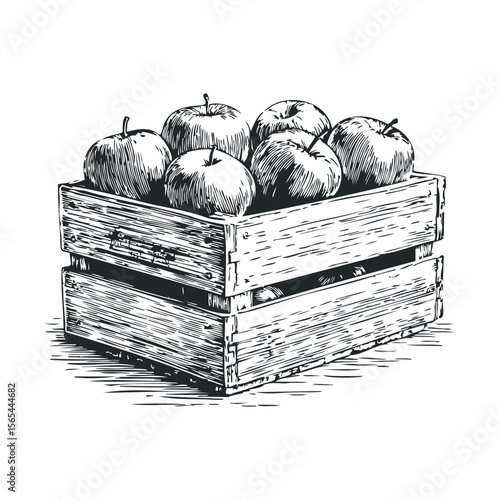 Rustic wooden crate filled with fresh hand-drawn apples in vintage style