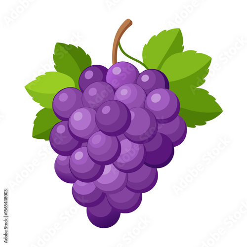 Fresh Grapes Isolated on White Background with Clipping Path