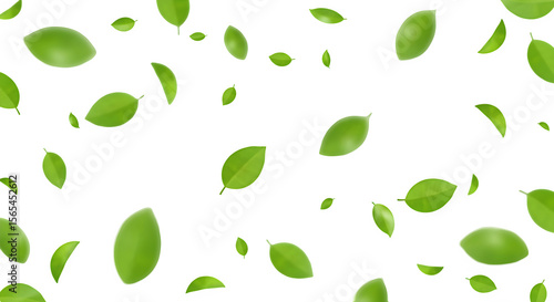 Scattered green leaves, nature and organic theme isolated on transparent background
