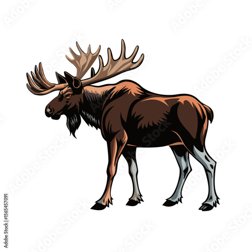 Moose Vector Illustration – Majestic Bull Moose with Large Antlers in Wildlife Art Style, Perfect for Logos, Outdoors Decor, Nature Prints, and Forest Themes

