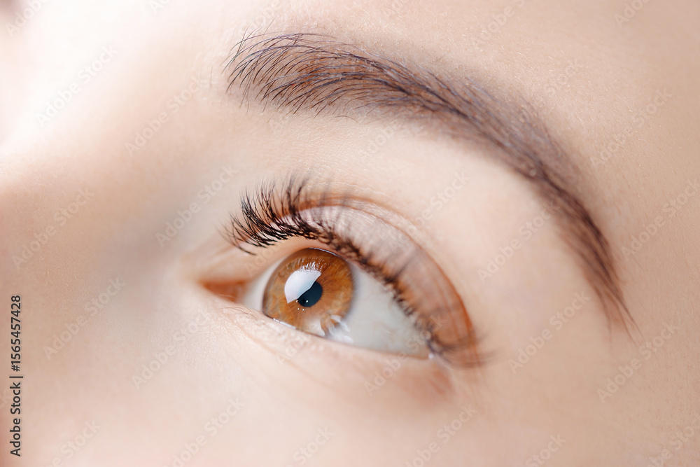Fototapeta premium Close-up of eyelash extension procedure on young caucasian female brown eye