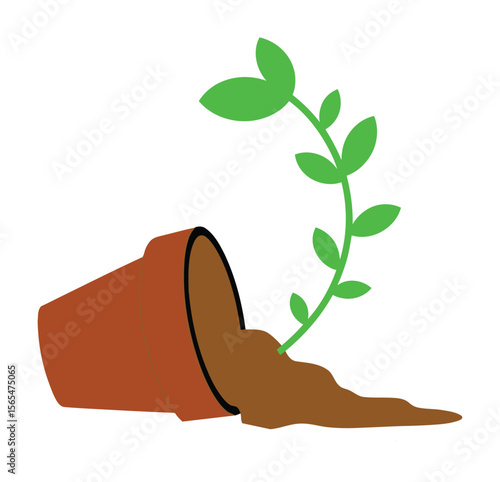 Fallen terracotta pot with spilled soil and vibrant green plant symbolizing resilience and growth, isolated on white background