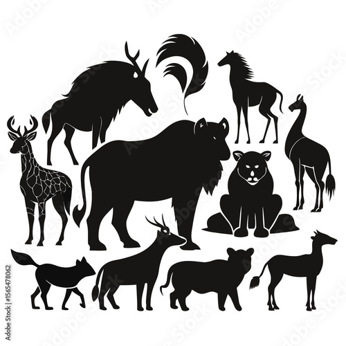 Photography wild animals collection