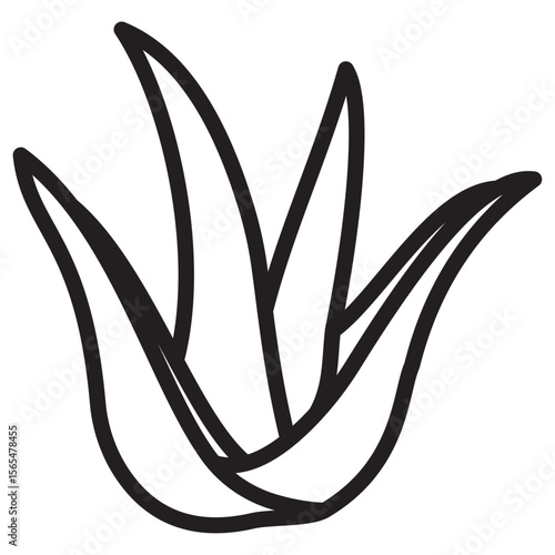 Aloe vera icon thin vector sign symbol