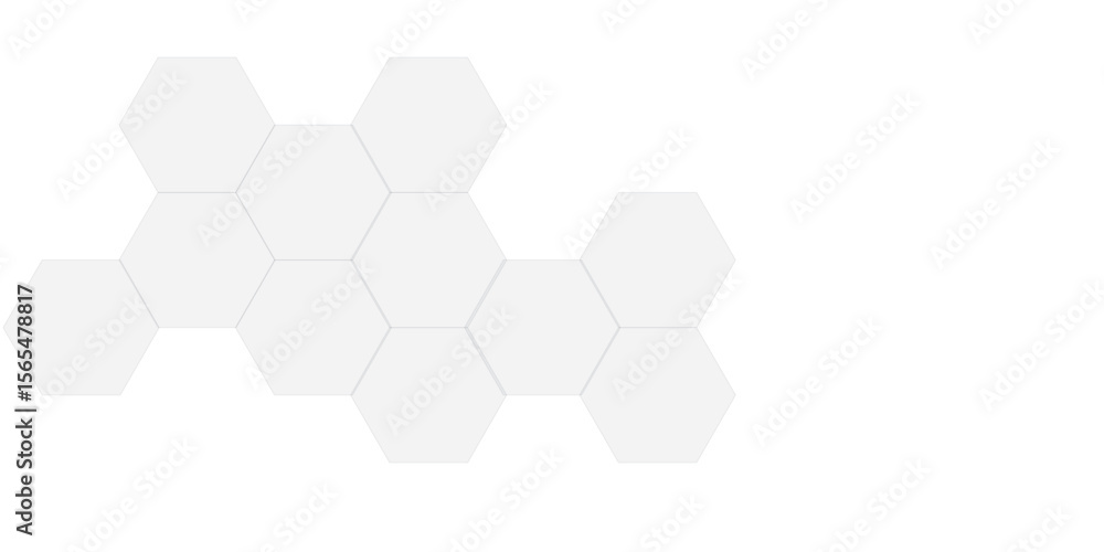 Abstract white and gray hexagon technology lines background. Abstract white and grey color hexagonal geometric background with copy space. Abstract white lines background. Abstract white and gray hexagon technology lines background. Abstract white and grey color hexagonal geometric background with copy space. Abstract white lines background.
