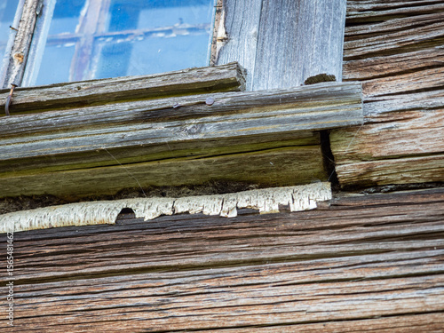 Wooden window in an old log wooden village house, waterproofing under the window sill made of birch bark - a traditional construction method in the north of Russia