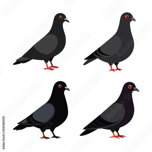 Vector art illustration of a set of pigeon birds