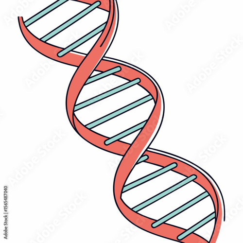 Coral and Teal D N A Helix Structure molecule science