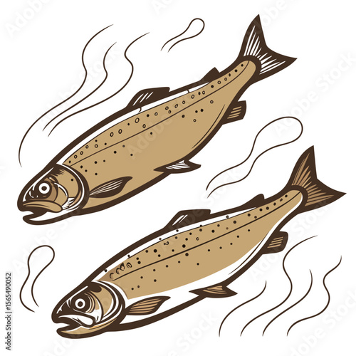Two brown trout swimming with wavy lines fish aquatic