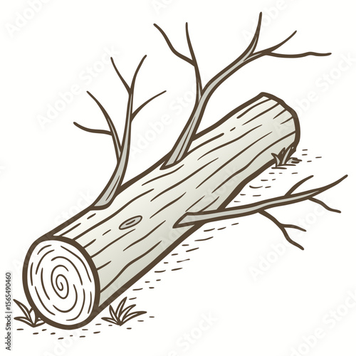 Fallen timber with bare branches resting on ground wood tree