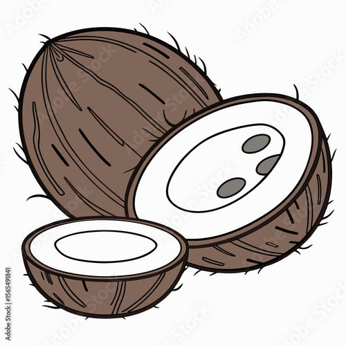 Whole and halved coconuts with brown textured shells tropical fruit whole coconut