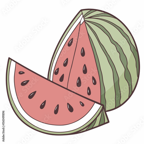 Juicy watermelon slices with seeds and rind fruit food