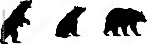 Bear cub silhouette set, sitting and walking poses of wild animal in black