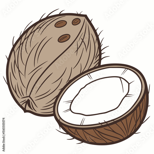 Whole and halved brown coconut tropical fruit white