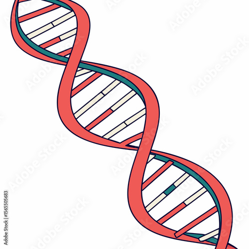 Coral Teal D N A Strand helix double helix