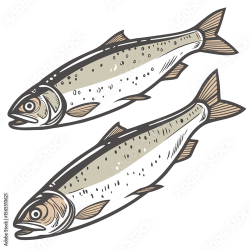 Two speckled salmon swimming fish seafood