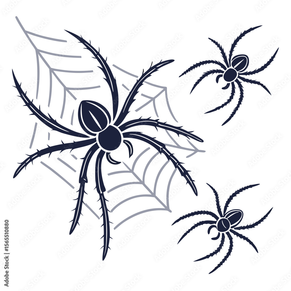 Dark Spiders and Cobweb arachnid insect