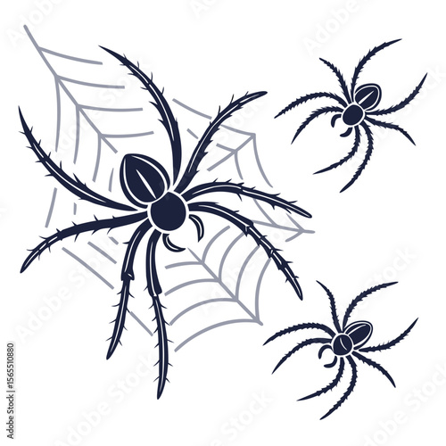 Dark Spiders and Cobweb arachnid insect
