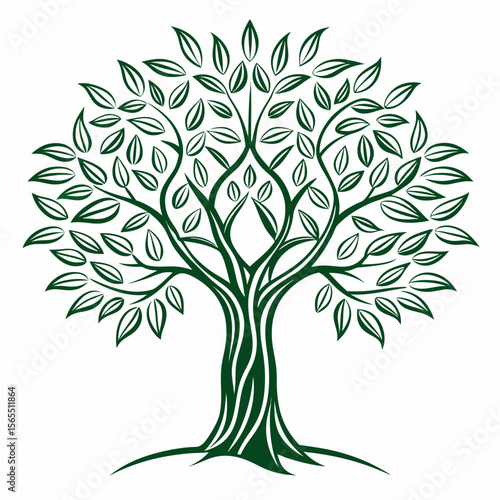Olive tree outline Vector 