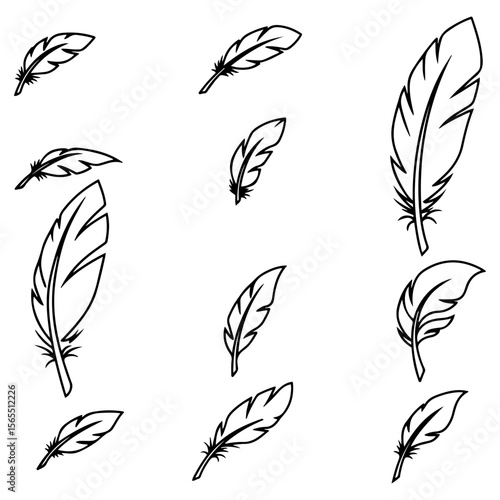 A professional asset pack of feather graphics, delivered in multiple styles for maximum creative versatility