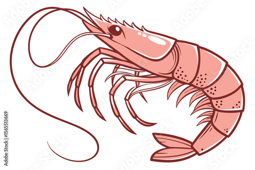 vector illustration of a shrimp