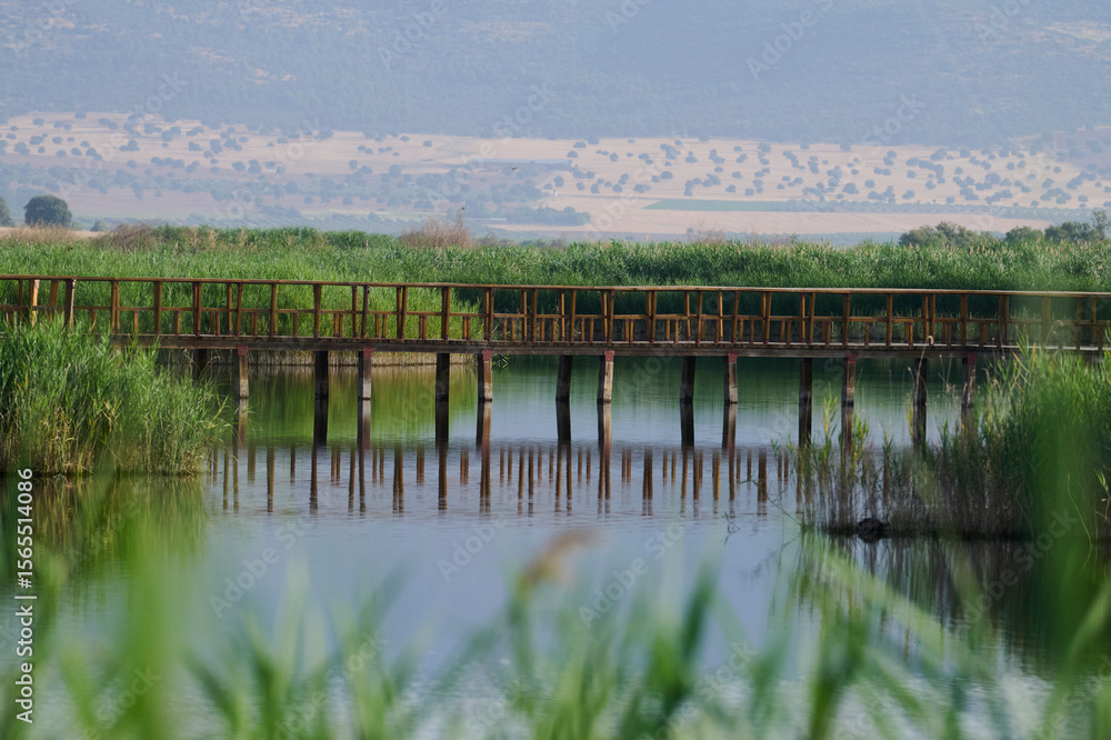 Tranquil landscape of Tablas de Daimiel National Park Tranquil landscape of Tablas de Daimiel National Park
