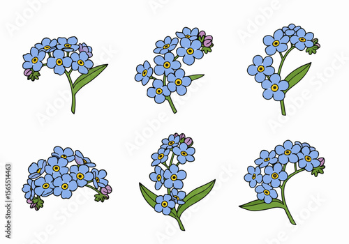 Set of Hand Drawn Forget-Me-Not Flowers Illustrations Isolated on White