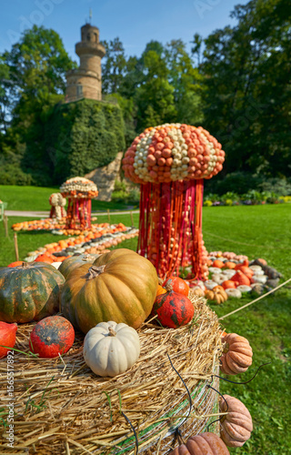 Artistic composition at the Pumpkin Festival in Ludwigsburg, Germany